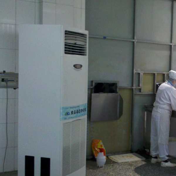 邯郸食品正负离子空气杀菌器